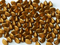 Pinch Beads 5x3mm Brass Gold 50 Stück