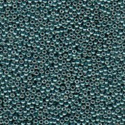 Miyuki Rocailles Beads 4mm 4217 Duracoat galvanized Sea Foam 20gr