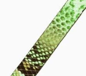 Lederband 10x2mm Schlangenoptik Grün 20cm lang