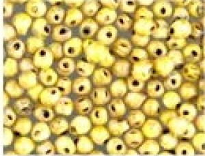 Miyuki Tropfen Beads 3,4mm 4512 opaque Yellow Picasso ca 10gr